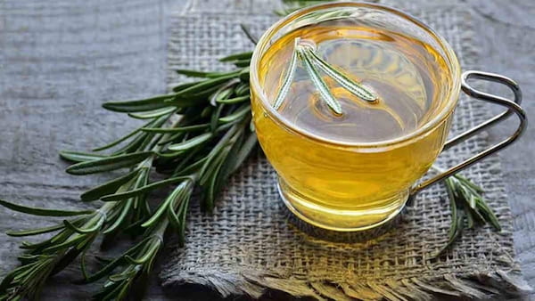 تصویر 4 از قیمت خرید اسانس گیاه رزماری + فروش ویژه